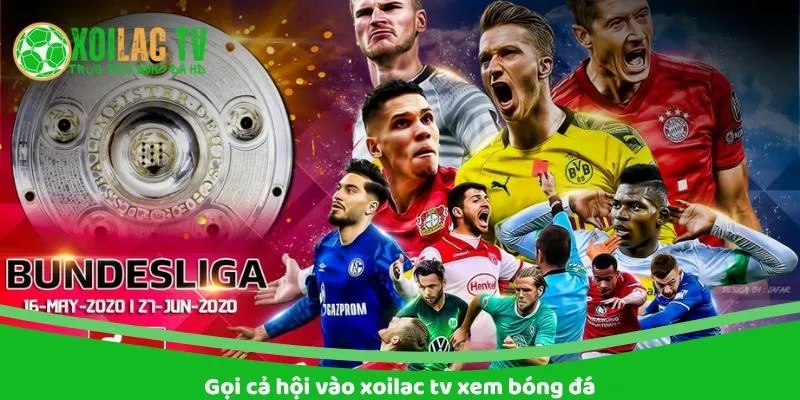 Gọi cả hội vào Xoilac xem bóng đá