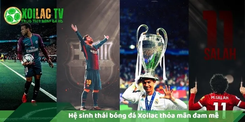 Lý Do Xoilac Trực Tiếp Bóng Đá Miễn Phí? 6 Hệ sinh thái bóng đá xoilac thỏa mãn đam mê