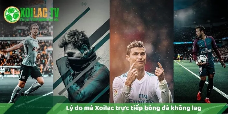 Lý Do Vì Sao Xoilac Trực Tiếp Bóng Đá Không Lag? 7 Lý do xoilac trực tiếp bóng đá không lag