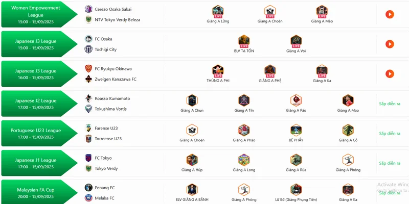 Nền Tảng Nào Xem Trực Tiếp Bóng Đá Đỉnh Nhất? 6 Chọn bình luận viên yêu thích - Xem bóng đá đa góc nhìn